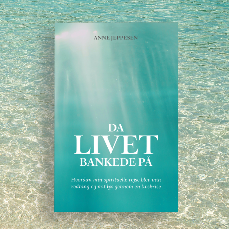 Da livet bankede på — en personlig historie om healing, spiritualitet og dyb transformation. En fortælling om tillid, lys og indre visdom. Få bogen i dag.